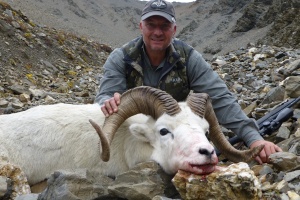 Roger Callison Sheep 2015